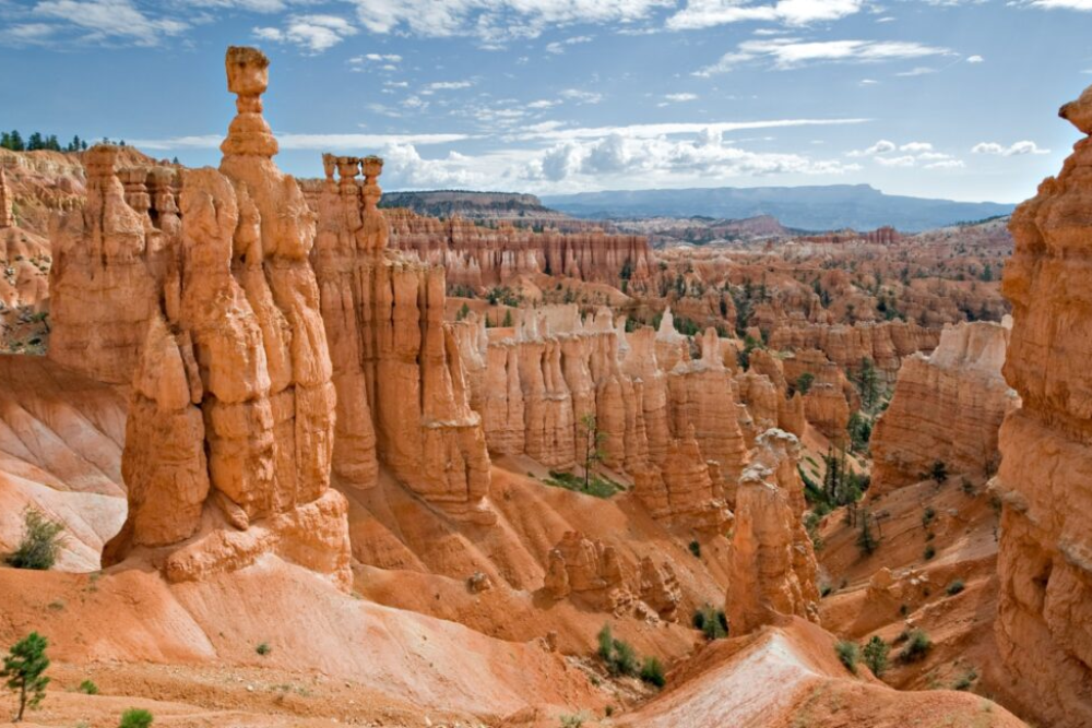 Best Family-Friendly Attractions Around the World